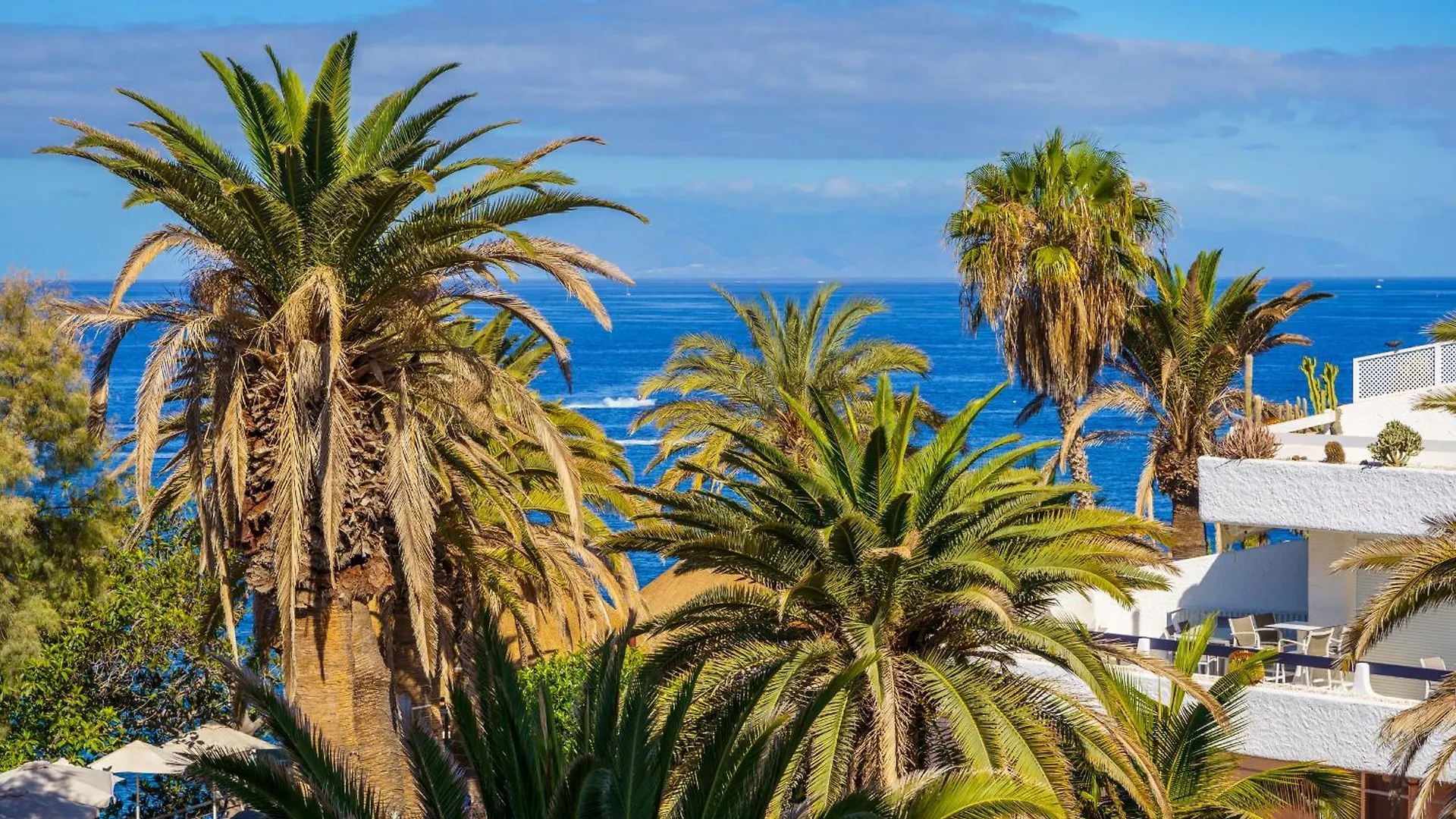 Exclusive Sea Views Villamar - Big Terrace & Pool アデヘ アパート